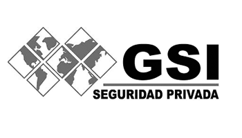Partner GSI